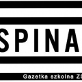 spinacz